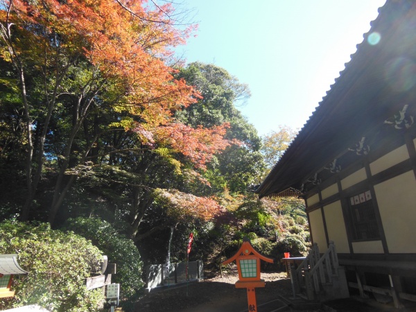 寂光院　本堂　紅葉