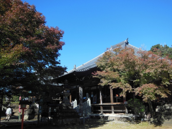 寂光院　本堂　紅葉