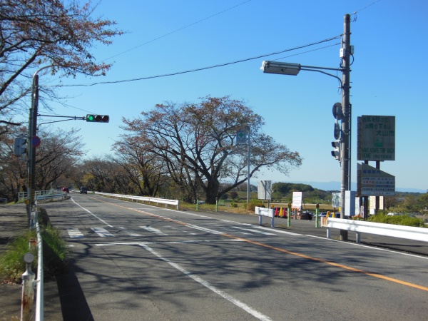 犬山　江南　道路