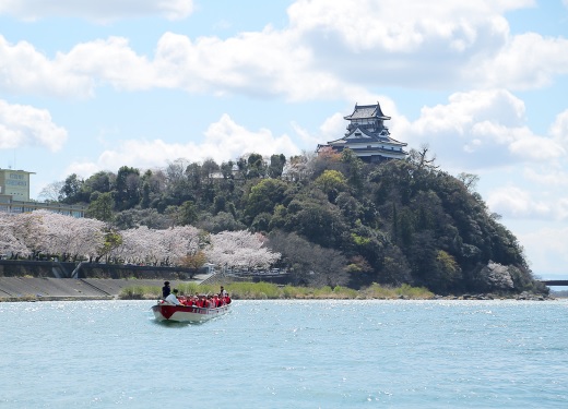 犬山　風流お花見船　観光